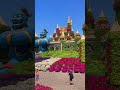 Dubai Miracle Garden #youtubeshorts #dubaitravels #shorts #dubaimiraclegarden