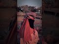 Habibi❤️🥰 #mushabvlog #love #husbanwifevlog #minivlog #share #shortvideo