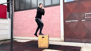 Single dumbbell box step-ups