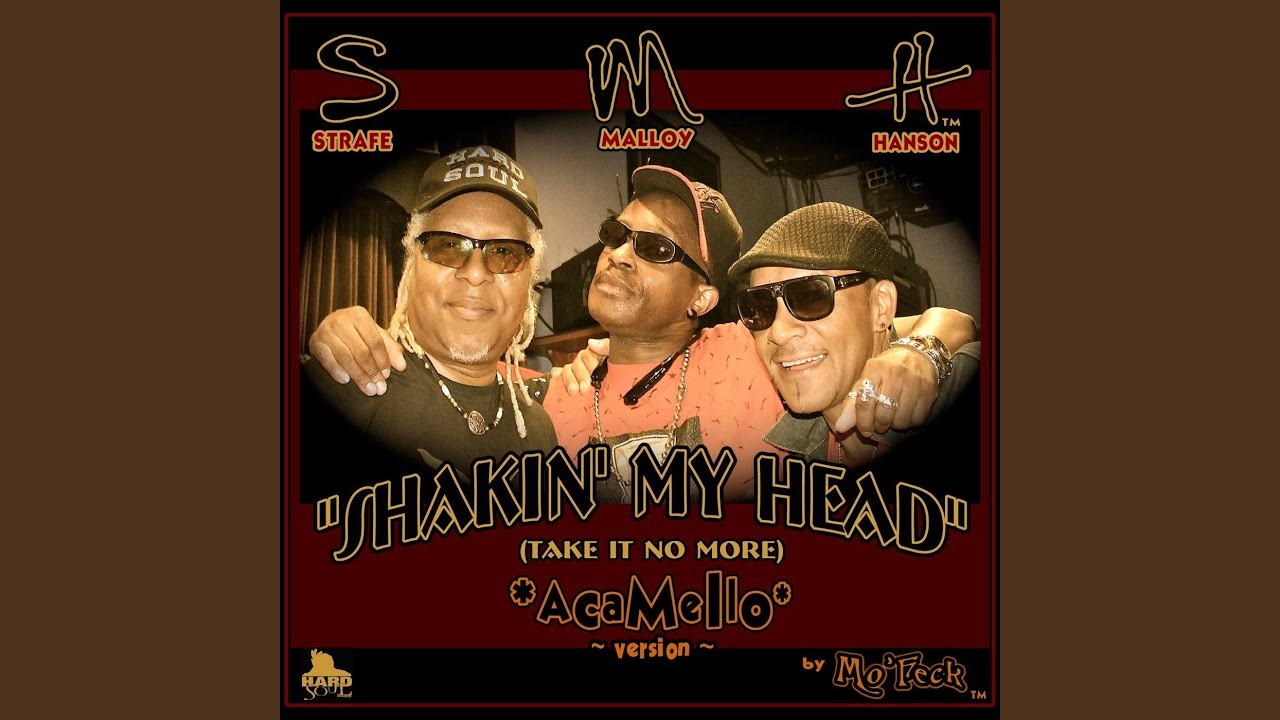 Shakin' My Head (Take It No More) (Aca Mello Version)