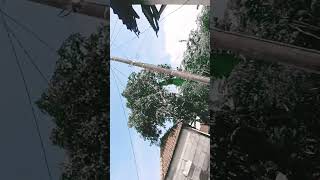 Download Lagu 28 Desember 2025 MP3