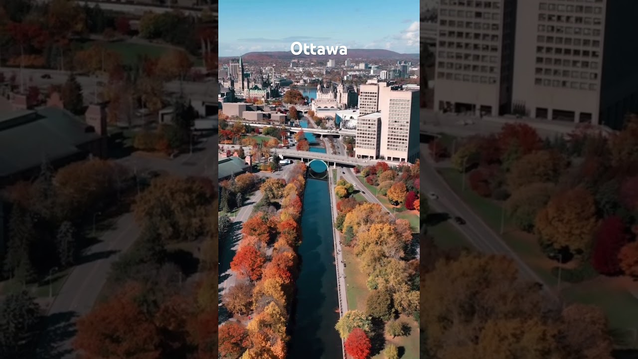 Ottawa City 