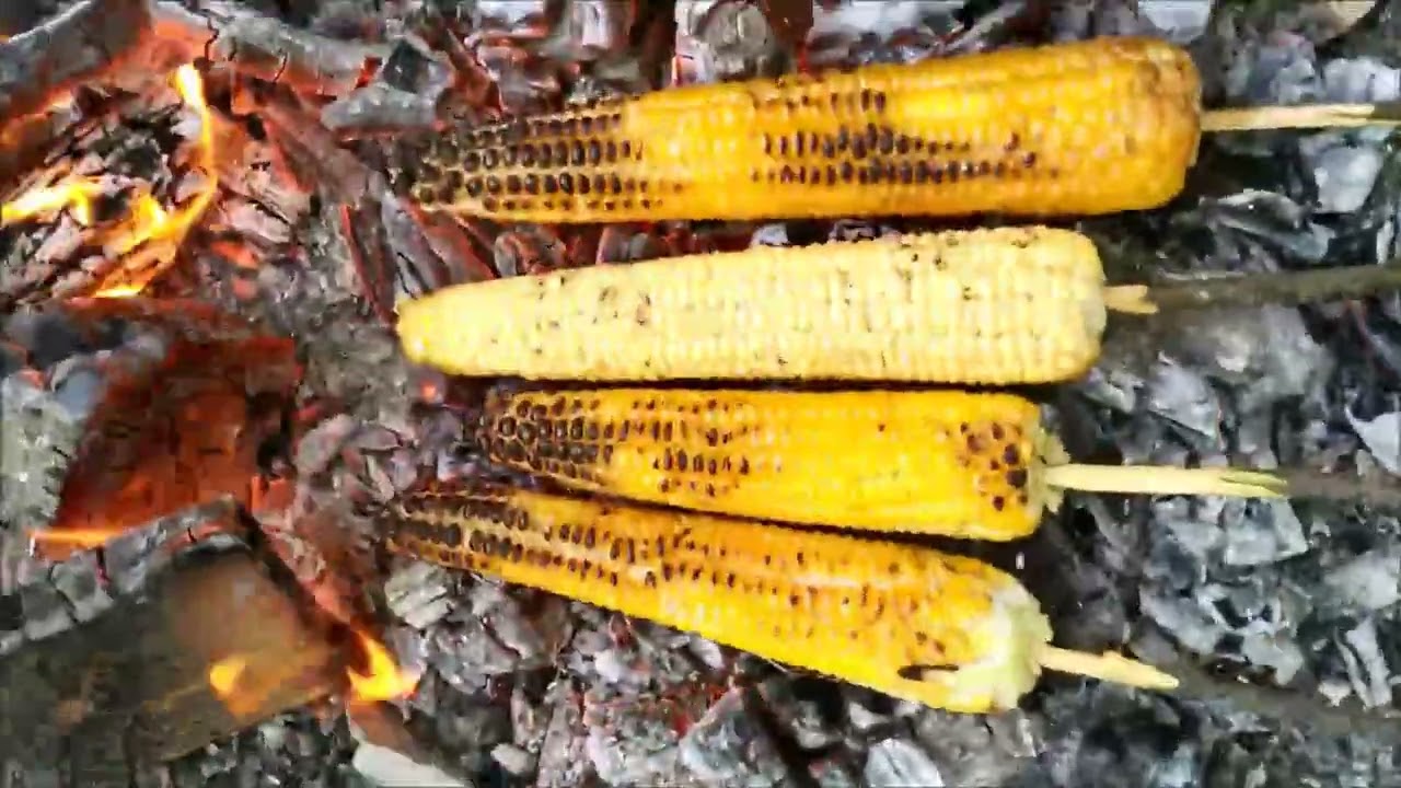 Erzurum olur ilçesi çataksu köyünden köy hayatı videoları 2