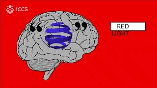 Consciousness As Art
