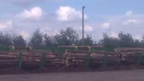 Sorting Bins (Log Sorting Line)