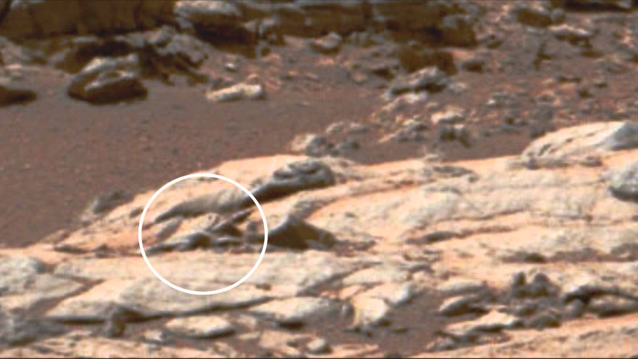Mars Anomalies III. Life On Mars? Massive Bird, Lizard With Rocket ...