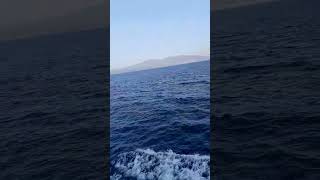 Traveling Roro Ship #maymiesvlogs #seafarer #travel #shorts #roroship