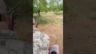 USA Wild Boar Hunt | Massive Hog Taken Down. #wildlife #huntingvideo #boarhunting #viralvideo