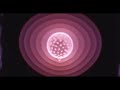 Electric Universe Theory and Critiques