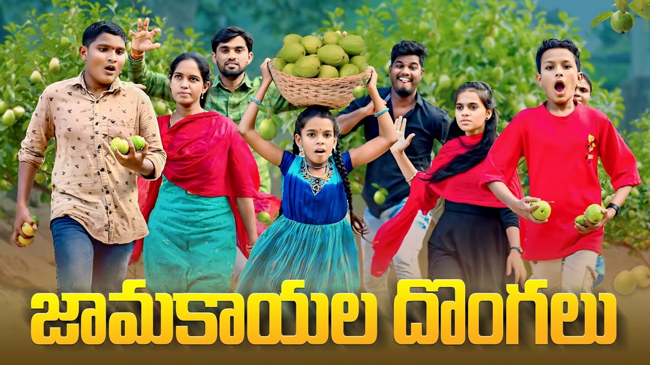 జామకాయ దొంగలు🍐🍋//junnu videos// comedy videos 2024//5 star md//ultimate village comedy