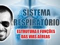 Sistema Respiratório - Estrutura e funções gerais das vias aéreas - Anatomia Humana - VideoAula 018