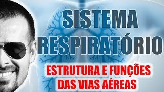 Sistema Respiratório - Estrutura e funções gerais das vias aéreas - Anatomia Humana - VideoAula 018