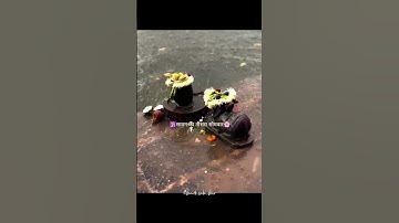 sawan somvar status video 2025🕉️/shubh Somwar status video🍀28 July Status #sawan#shorts