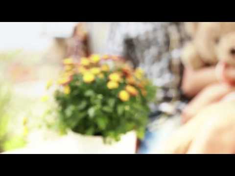 HongThaiPro - Love Song For NHC - Lương Minh Trang