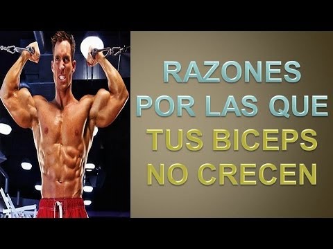 Aumento De Biceps - Consejos Para Tu Rutina De Biceps ejercicios para el abdomen bajo mujeres en casa