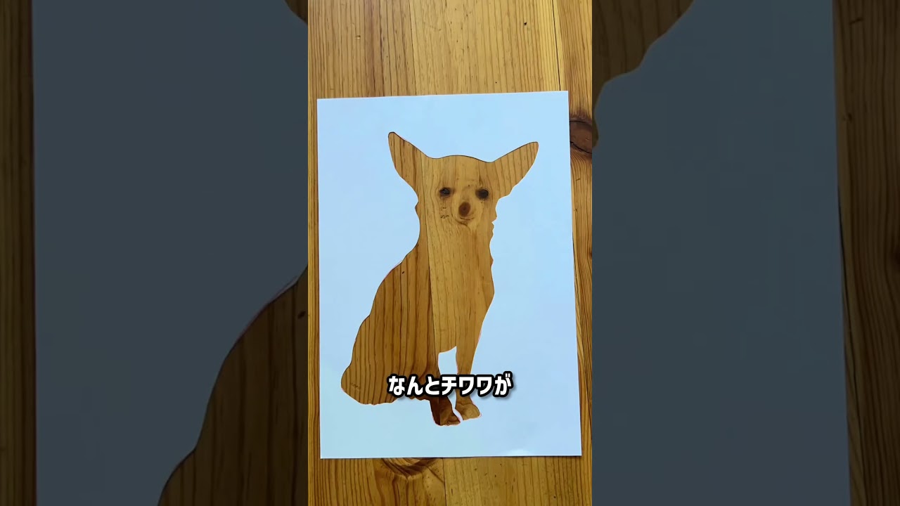 アーティストが床を見てひらめいた