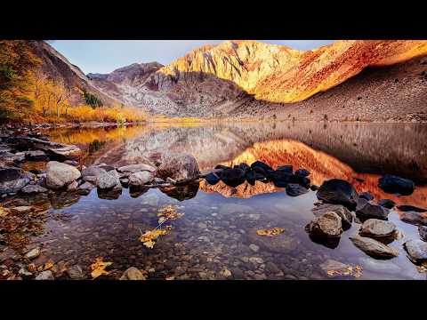 سورة التوبة | المصحف المرتل الكامل | القارئ عبد الله كامل رحمه الله