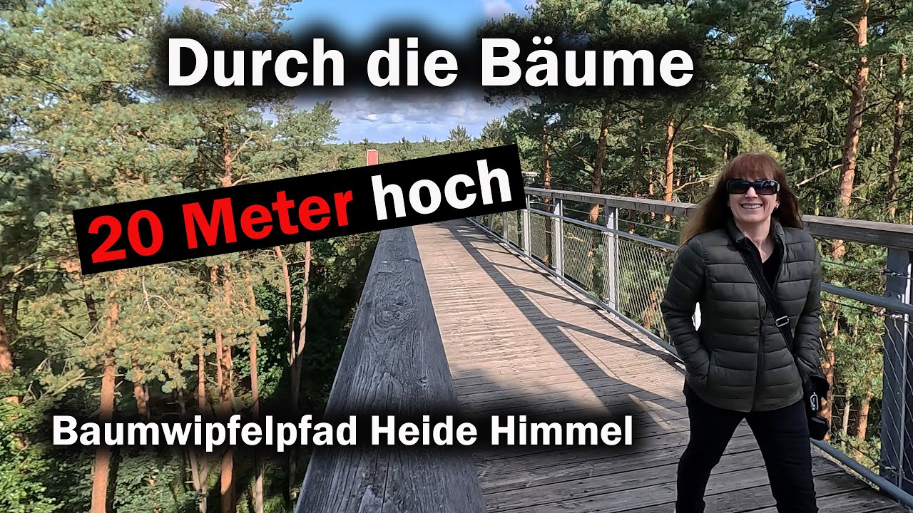 Bäume, Wölfe und ein Glasplateau | Baumwipfelpfad Heide Himmel | Lüneburger Heide von oben