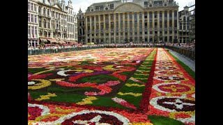 Цветочный ковер из миллиона бегоний.Брюссель.Бельгия.Очень красивое зрелище.Отдых,туризм,красота