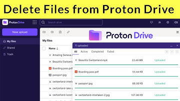 How to Delete Files from Proton Drive?