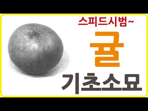 <strong>구</strong> <strong>소묘</strong> 응용정물 귤 기초소묘  스피드시범