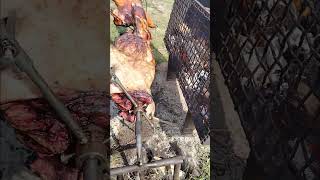 Hasičský prase 🚒