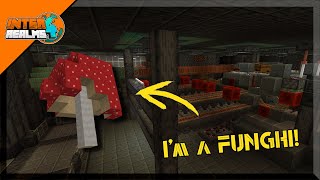 I was a Fun Guy! Once in a Blue Mushroom - Inter Realms SMP - Ep 14