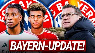 PSG STAR zu BAYERN?! REAL's XXL OLISE Plan! MILLIONEN SPARKURS bei BAYERN! | Bayern Update