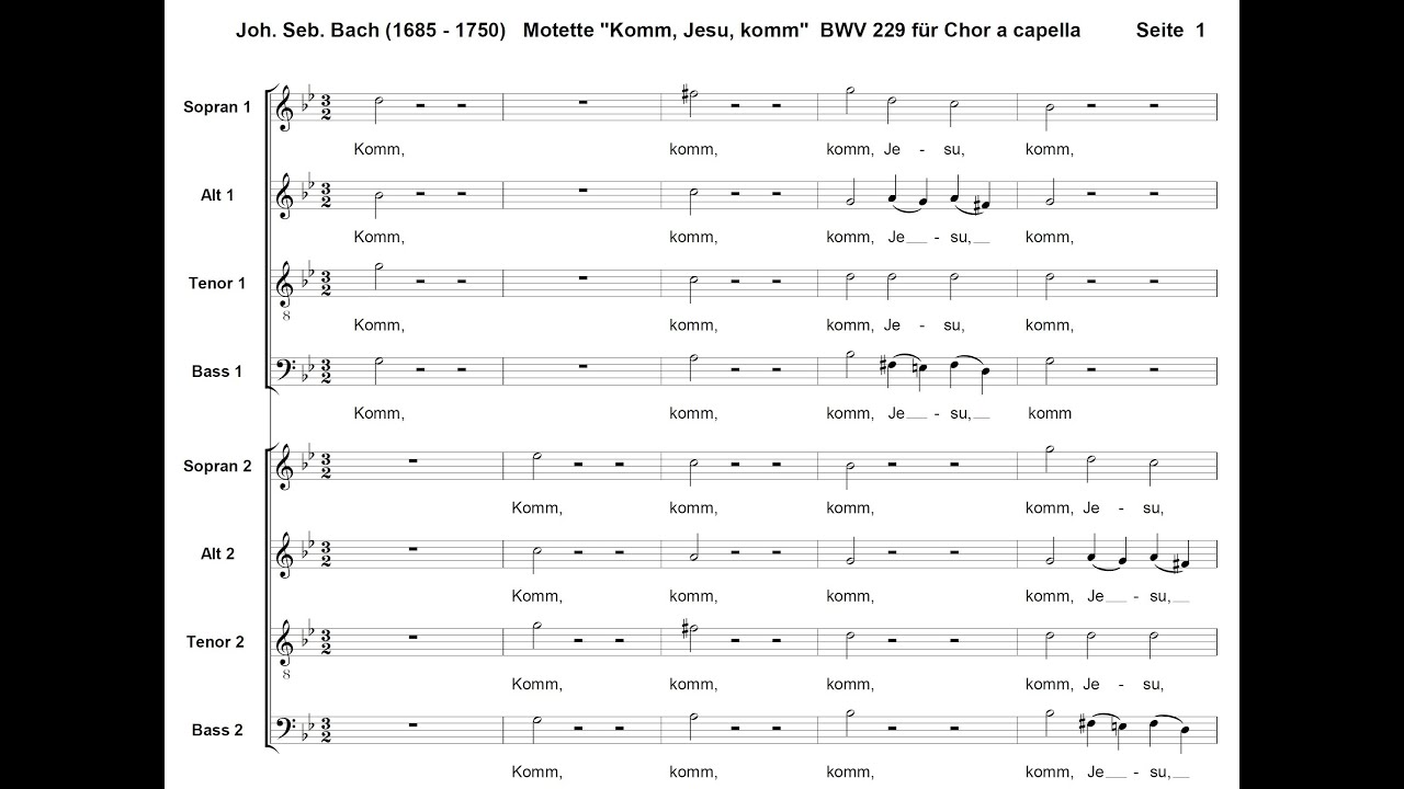 BWV229 Komm, Jesu komm (Tenor2)