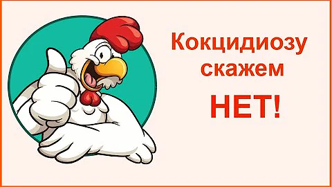 Кокцидиоз - лечение народными средствами