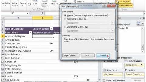 Excel 2010 Tutorial Sorting and Filtering PivotTable Data Microsoft Training Lesson 22.7