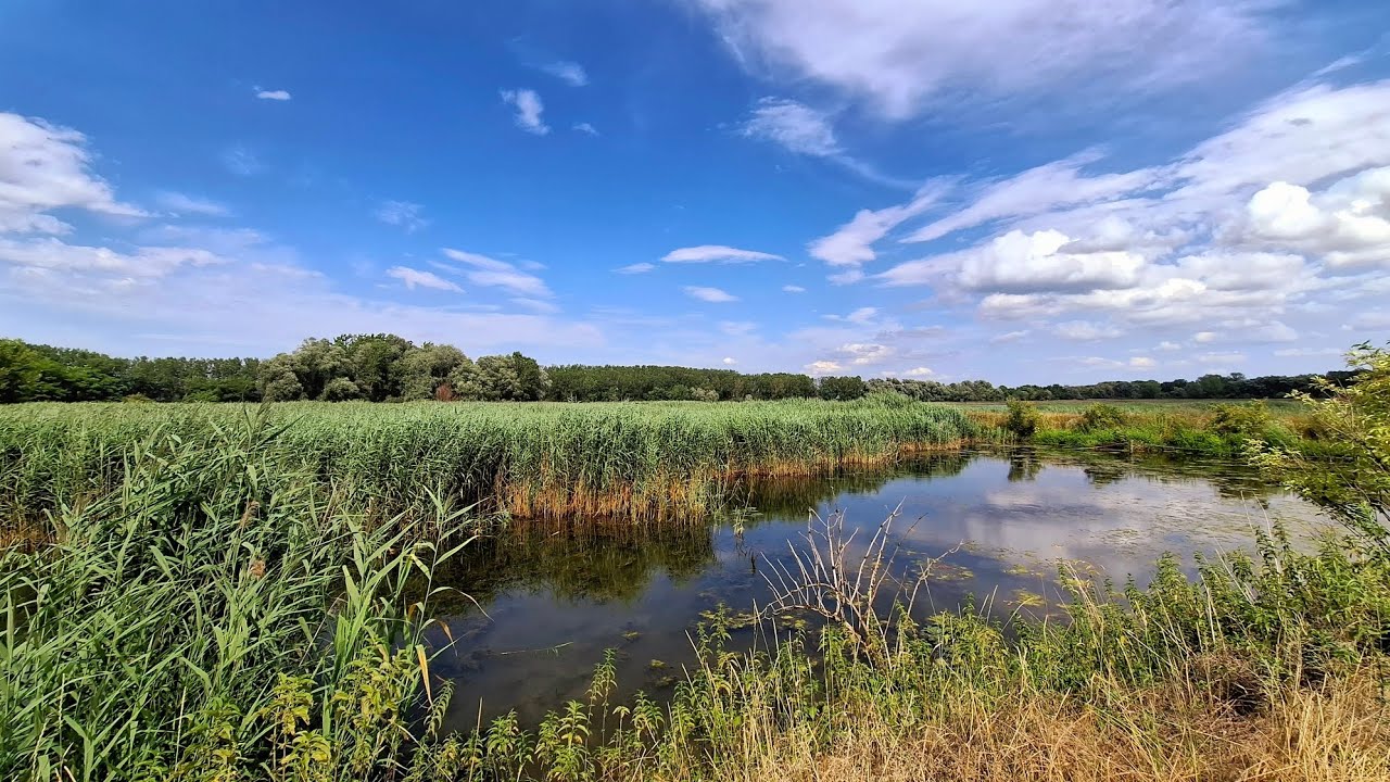 Ormoške lagune  13.07.2025
