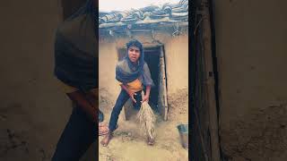 Kidhar Gaya Chhipkali Ki Aulad Bahar Aaj Teri Juban Ko Kekdi Ki Tarah Chhote Tukdon Mein Comedy Vide