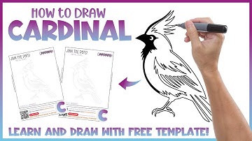How to Draw Cardinal - Free Worksheet PDF for Tracing  🐦 Connect the Dots Printable
