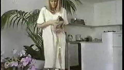 Prisoner Cell Block H - Whatever happened to Sonia Stevens?