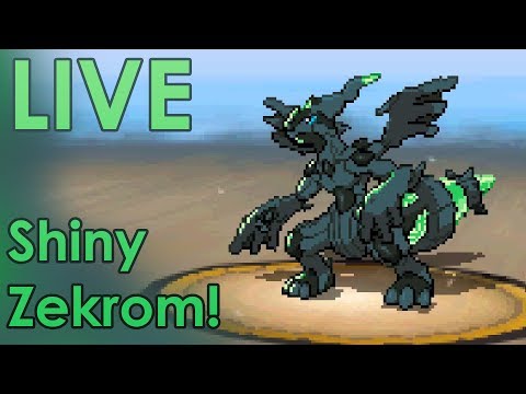 LIVE! Shiny Zekrom after 3168 RAs!!! Pokemon White (Shiny Lock Removal) 