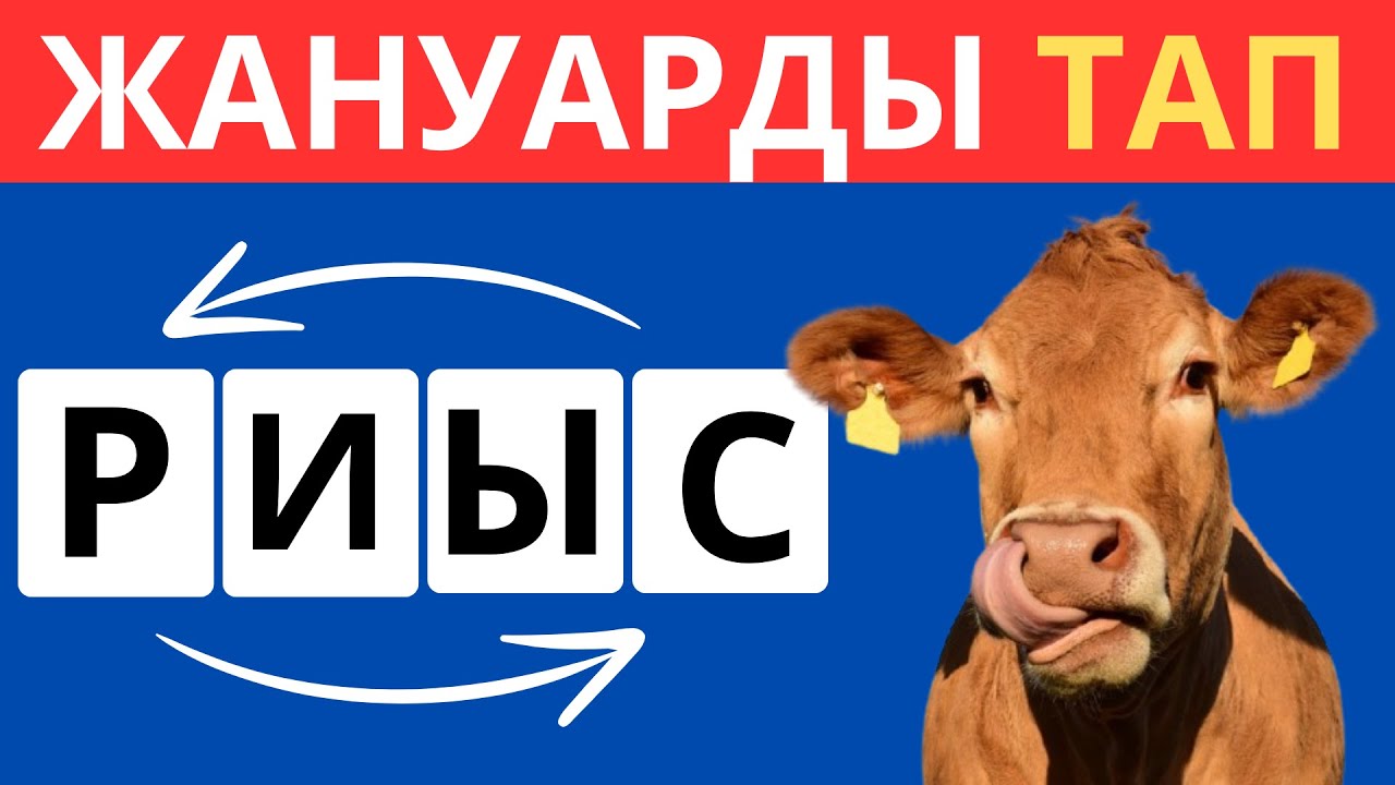 ӘРІПТЕРДІ ДҰРЫСТАП, МЕМЛЕКЕТ АТАУЫН ТАП🤯🧠/ 35 СҰРАҚ ✅| БІЛІМ QUIZ 2026