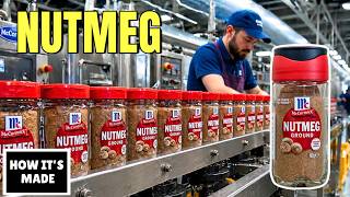 How Nutmeg Is Made — And Why One Fruit Produces Two Different Spices