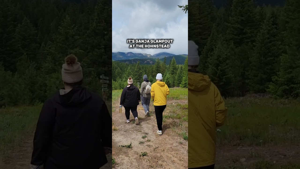 Do a little dance, smoke a little weed, get down tonight.