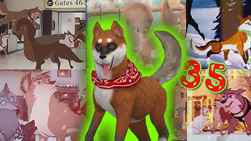 HOLIDAY MEP PART Collection #35 🎁 [ NOVEMBER-DECEMBER ] FINAL Collection of 2024!!