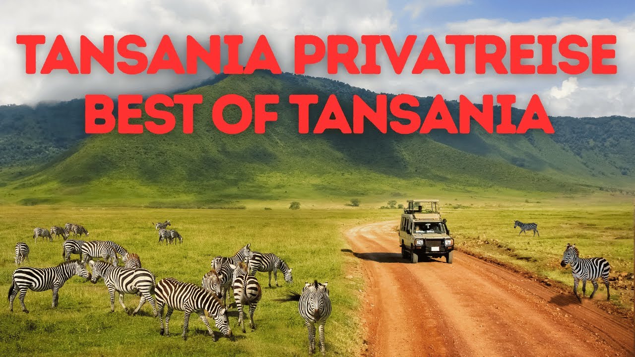 Tansania Privat Safari 🤯 Serengeti NP | Ngorongoro | Tarangire NP | Mkomazi NP | Tipps und Infos
