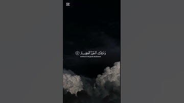 تلك حدود الله  ياسر الدوسري ايات قرانيه قصيره حالات وتساب القران الكريم راحه نفسيه #اكسبلور #لايك #