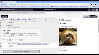 Learn HTML by Building a Cat Photo App  Step - 37 || freeCodeCamp screenshot 3