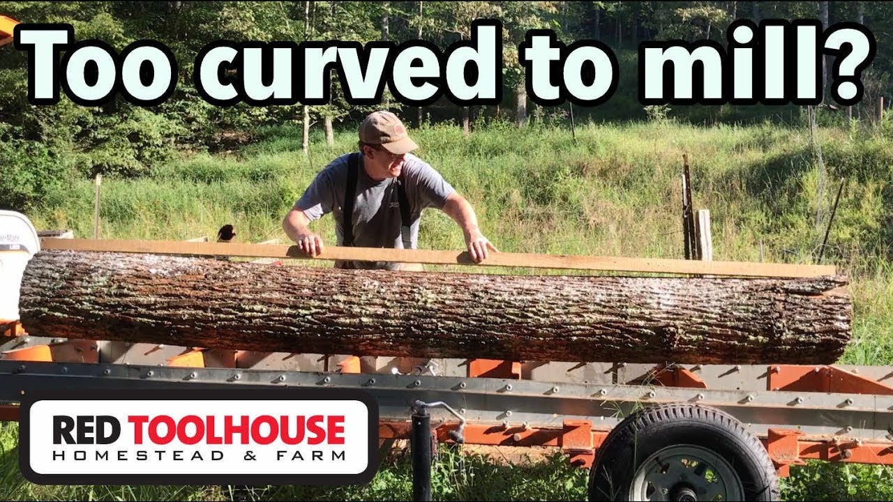 Are curved logs worth milling? YouTube