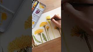 Dandelion flowers #shorts #art #watercolor