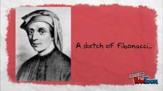Fibonacci numbers-math project
