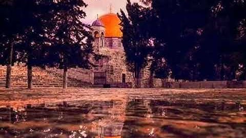 ﴿ ففروا إلي الله ﴾ أحمد النفيس [ حالات واتس اب قرآن كريم ] Quran Staus