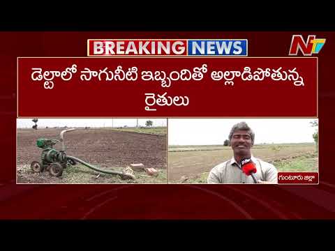 El Niño impact on agriculture | Special Report From Guntur | NTV Telugu - NTVTELUGU