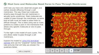 Molecular Workbench Under the Hood screenshot 4