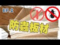 【裝修蛀蟲EP2】｜一次搞懂防蟲板材!!｜防蟲板材是啥?｜防蟲板材可防任何蛀蟲?｜甲醛高低對於防蛀蟲的效果?